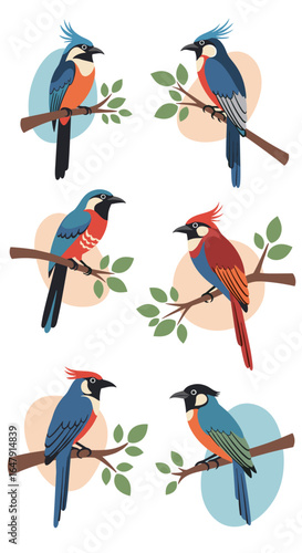 Six beautiful stylized birds perched on branches with soft oval backgrounds