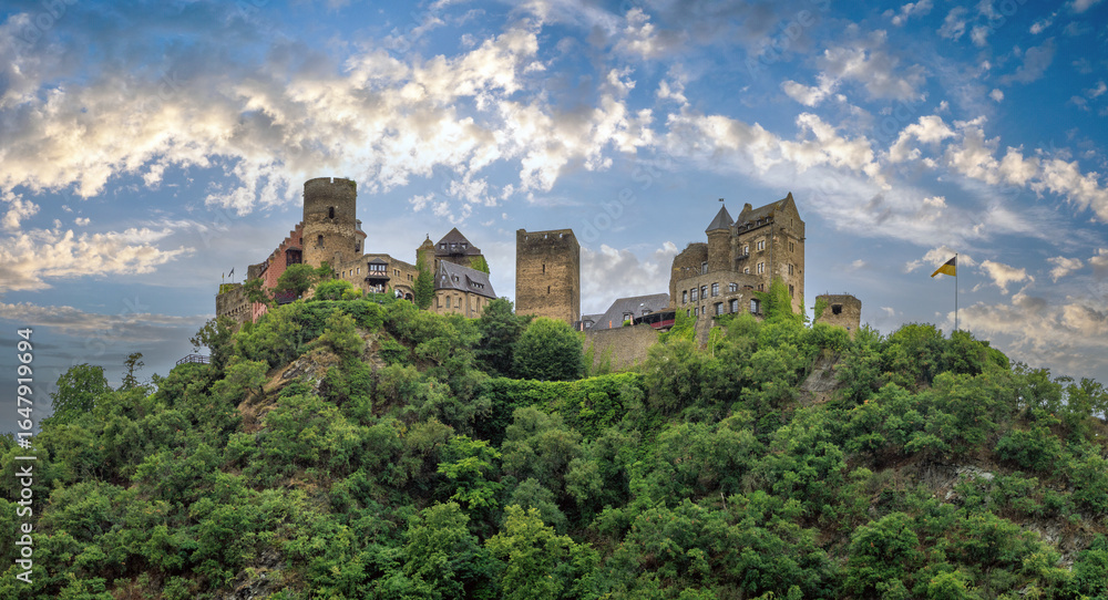 Obraz premium View of the ruins of the Burg Reichenstein castle, Romantic Rhaien Valley, Rheinland-Pfalz, Germany