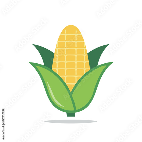 Fresh Corn Cob with Green Leaves and Kernels Vector Illustration