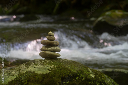 Canvas Print zen stones next to flowing water
