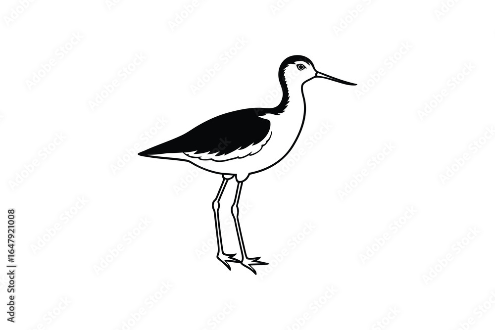 Obraz premium A black and white bird with long legs and neck standing alone silhouette
