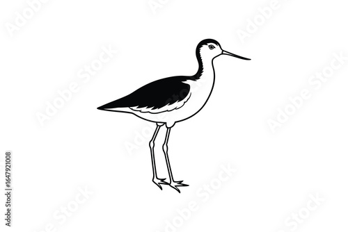 A black and white bird with long legs and neck standing alone silhouette