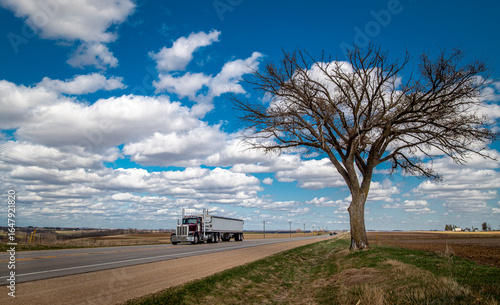 The Hope Tree