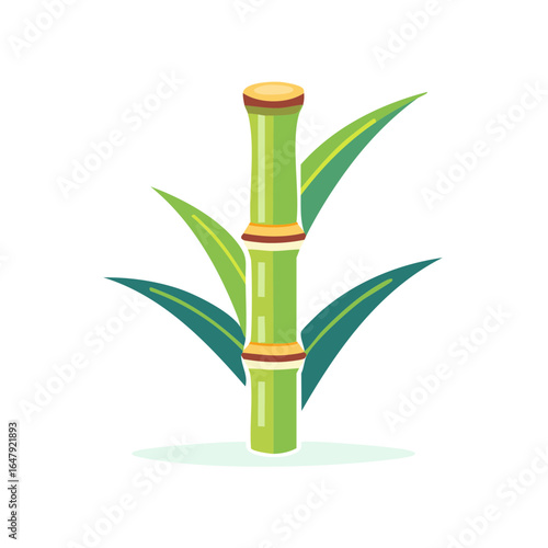 Green bamboo stalk with broad leaves and segmented stem agricultural plant illustration
