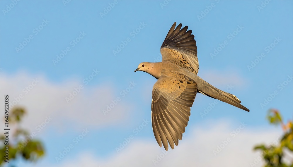 Obraz premium A dove in flight against a partly cloudy sky