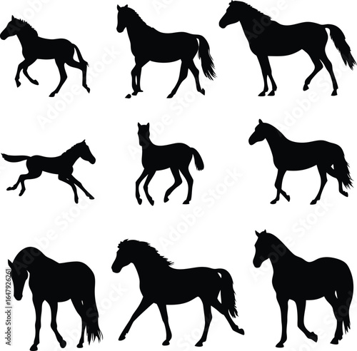 Silhouette of Horses in Various Poses Expressing Movement, Grace, and Strength in Contrasting Light and Dark Visuals