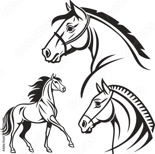 Majestic Horse Illustrations A Collection of Elegant Equine Designs for Various Creative Projects and Artistic Endeavors with Stunning Details