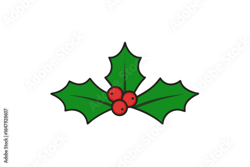 Holly leaves and berries vector icon on white