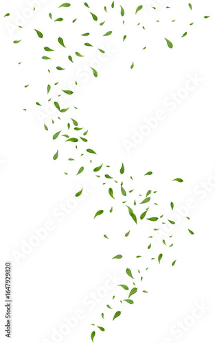 1600xx2560-13__leif_13_01.eps