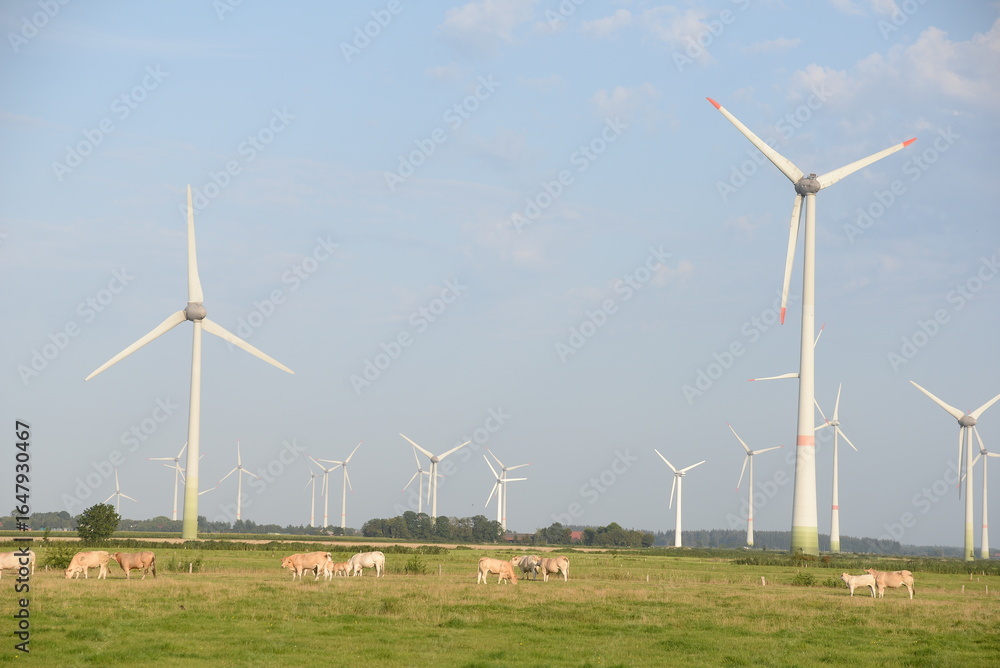 Fototapeta premium Windkraftanlagen
