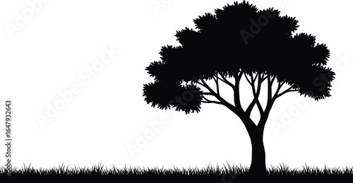 vvvvSilhouette of large tree with spreading branches, grass field at base, natural landscape scene, peaceful outdoor view, nature environment design