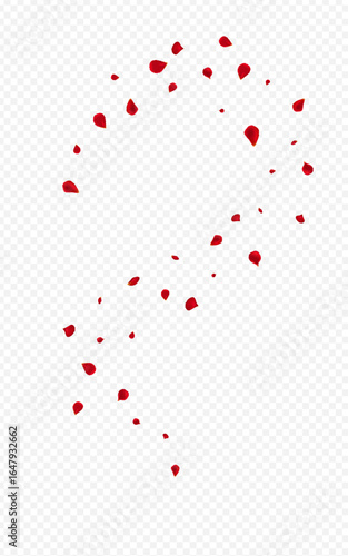 Red_Rose_Petal_Transparent_Background_164.eps