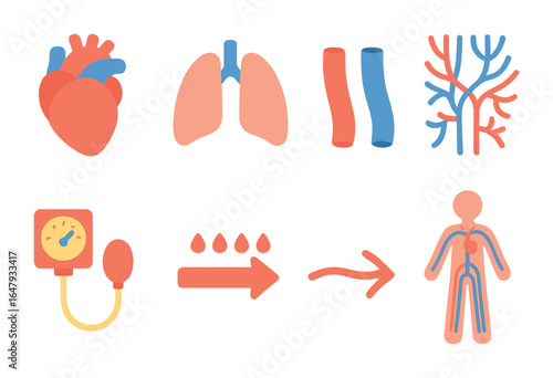 Children's Circulatory Icons. Flat vector mini-illustrations human circulatory system in colors children's
