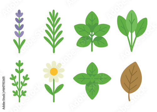 Magic Herbal Grid. Flat vector mini-illustrations magic herbs in colors children's illustrations: lavender,