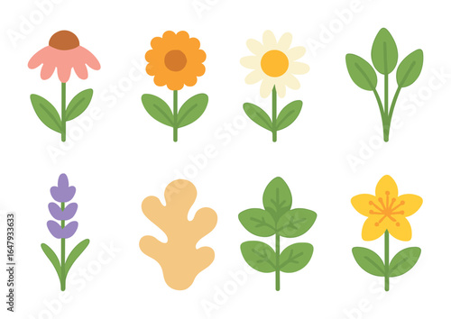 Herbal Healing Icons. Flat vector mini-illustrations healing herbs in colors children's illustrations: