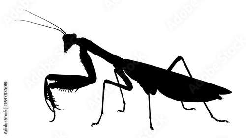 Wallpaper Mural Silhouette of a praying mantis insect standing on white background Torontodigital.ca