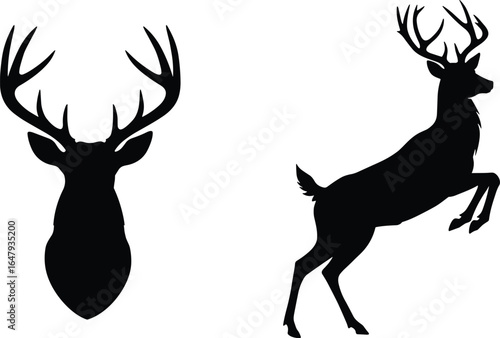 Silhouette of deer head with antlers and rearing stag, elegant wildlife vector illustration for nature, forest, and hunting designs