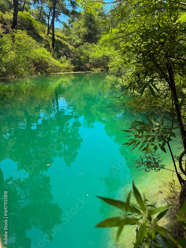 Bild auf Leinwand lagoona, turquoise color water, jungle, green trees, nature, summer