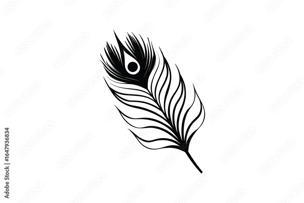 Obraz premium A black and white illustration of a peacock feather on a plain background silhouette