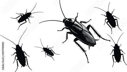 Cockroach silhouette collection, pest insects, household bug infestation, vector illustration, black outline, creepy crawlers, insect control, pest management, realistic roach drawing