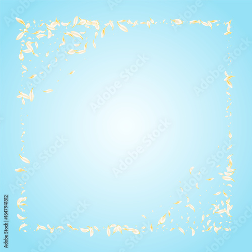 yellow_petals_blue_background_510.eps