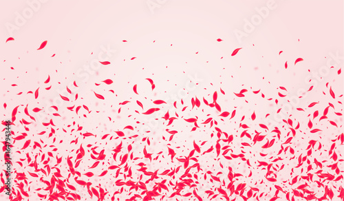 Pink_Petal_Flying_Vector_3.eps