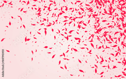 Pink_Petal_Flying_Vector_106.eps