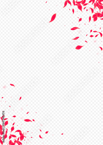 Pink_Petal_Flying_Vector_Transparent_986.eps