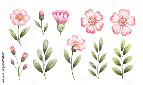 Wallpaper Mural Pink floral blossoms and buds with fresh green leaves in watercolor. Botanical watercolor set of pink flowers, buds, and leafy stems. Torontodigital.ca