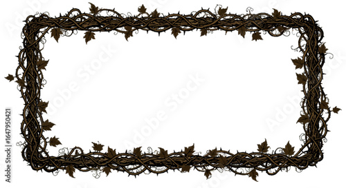 Thorny frame decorative border with thorns and leaves dark fantasy style gothic element high quality professional