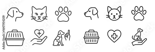Icons representing pets and veterinary care with hand-drawn elements for educational or informational purposes