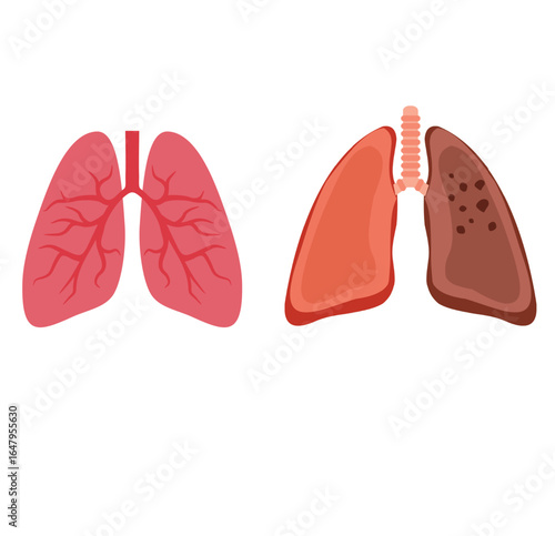 Wallpaper Mural Abstract geometric composition with vibrant color blocks and clean lines suitable for modern design projects Torontodigital.ca