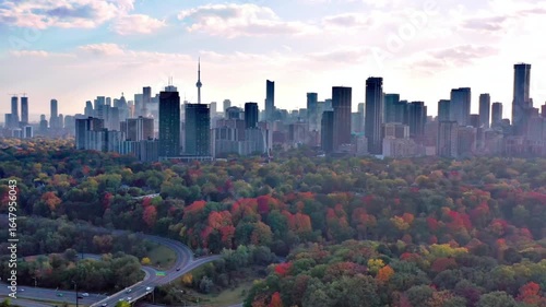 Toronto cityscape with autumn foliage in the foreground on a sunny day
