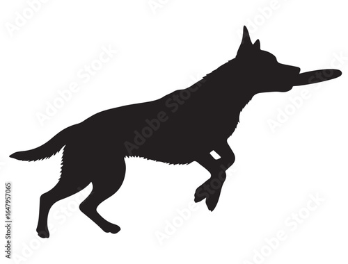 FRISBEE DOG SILHOUETTE