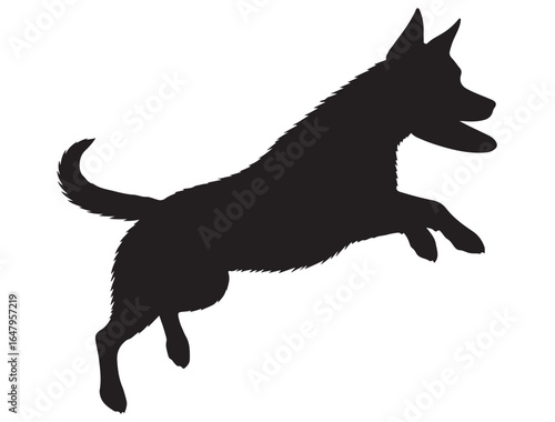 FRISBEE DOG SILHOUETTE