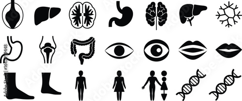 Collection of black and white human anatomy and medical icons health human body
