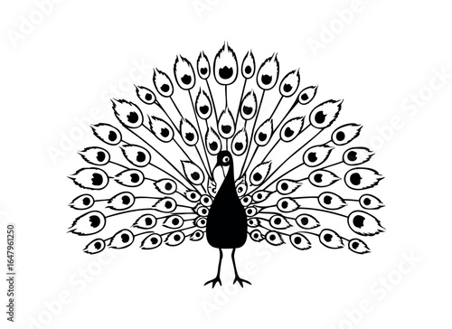 Elegant Peacock Vector Illustration – Black and White Design