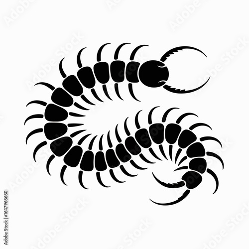 Centipede Silhouette Illustration on White Background