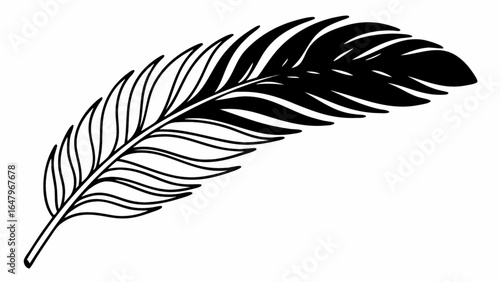 Illustration of a single feather with detailed barbs and a prominent rachis