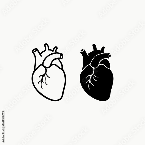 Anatomical Heart Outline and Silhouette Icons human heart