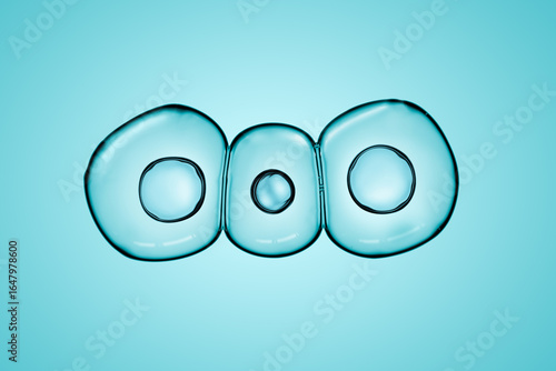 Cells division process, Cell divides into two cells