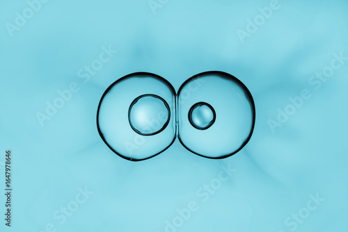 Cells division process, Cell divides into two cells