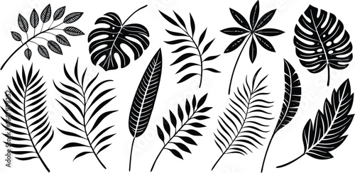 Leaf silhouettes vector set featuring tropical, floral, and botanical elements. nature design collection includes various leaf shapes perfect for eco, organic, and decorative art or digital project 