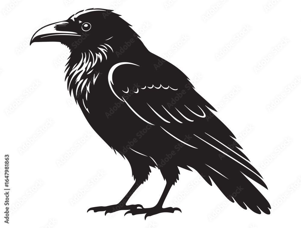 Fototapeta premium RAVEN SILHOUETTE