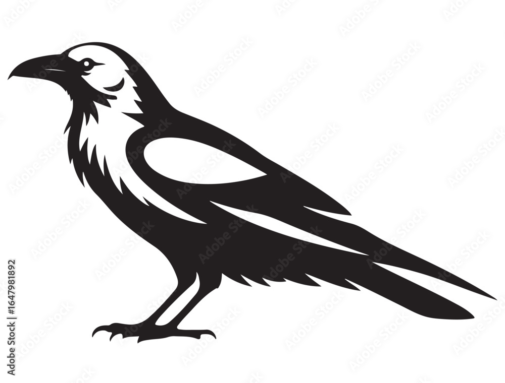 Obraz premium RAVEN SILHOUETTE