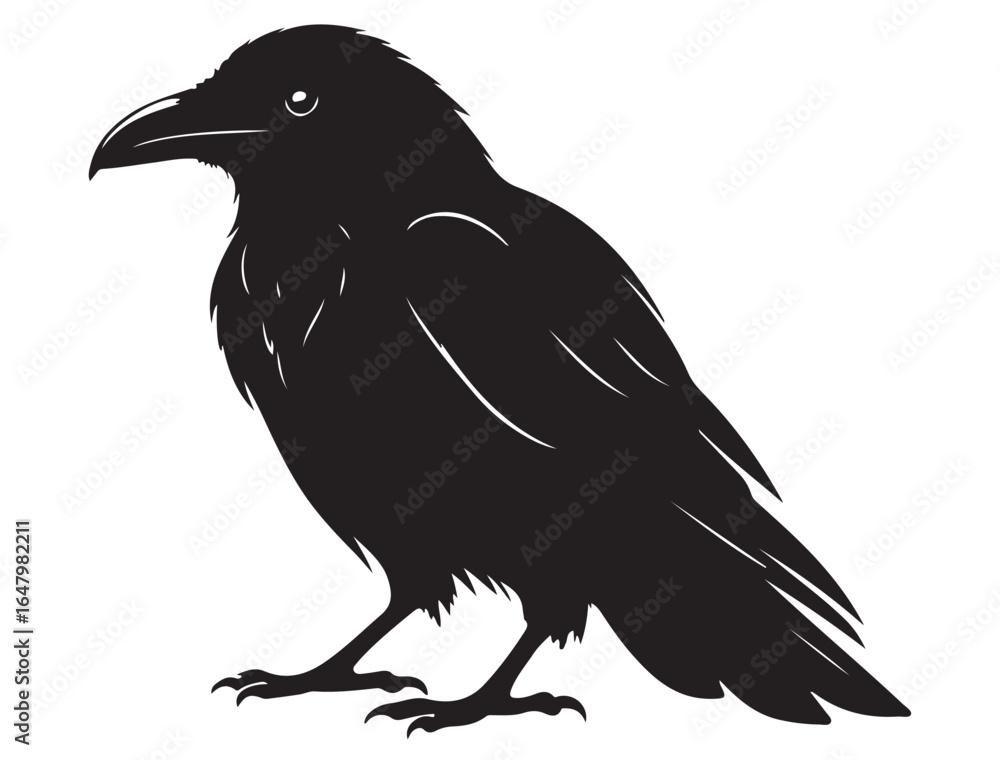 Fototapeta premium RAVEN SILHOUETTE