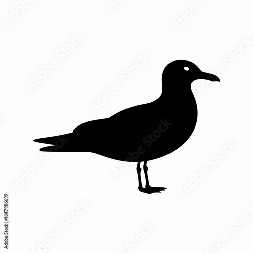 Black Silhouette of a Seagull Bird