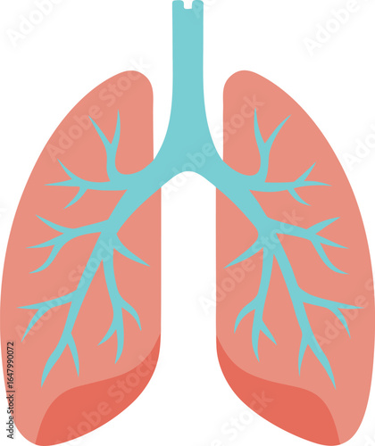human lung icon