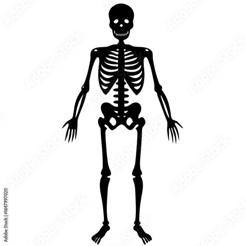 Black silhouette of a human skeleton.
