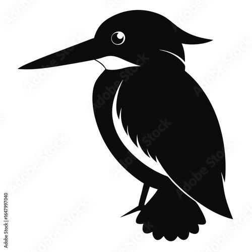 Silhouette of a kingfisher bird.

